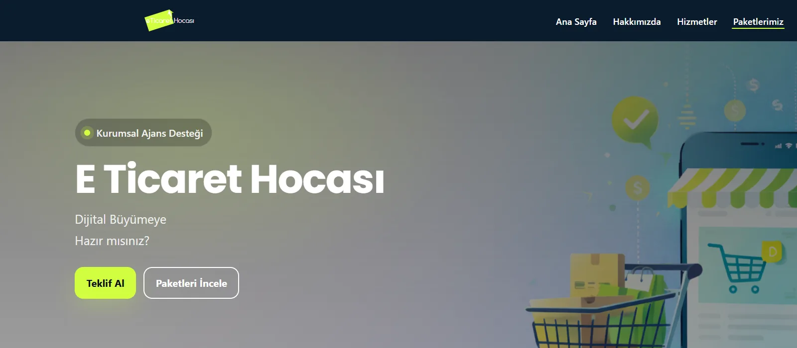 Sakarya web tasarım hizmetleri ana sayfa örneği