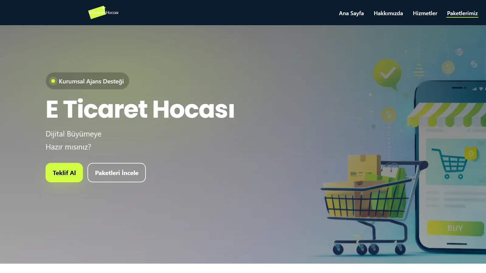 web tasarım sakarya kurumsal site örneği